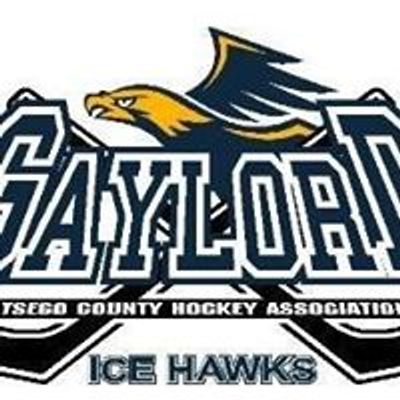 Gaylord Ocha Hockey