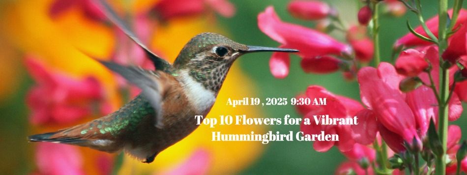 Free Garden Class: Top 10 Flowers for a Vibrant Hummingbird Garden 