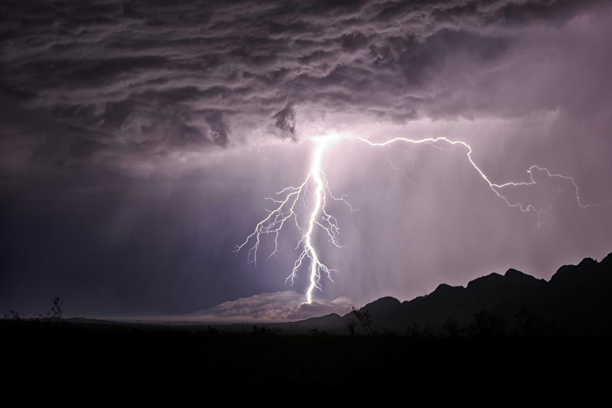 Shakespeare in Focus: King Lear