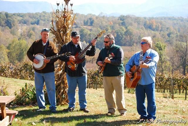 MUSIC - Wiregrass, Americanagrass