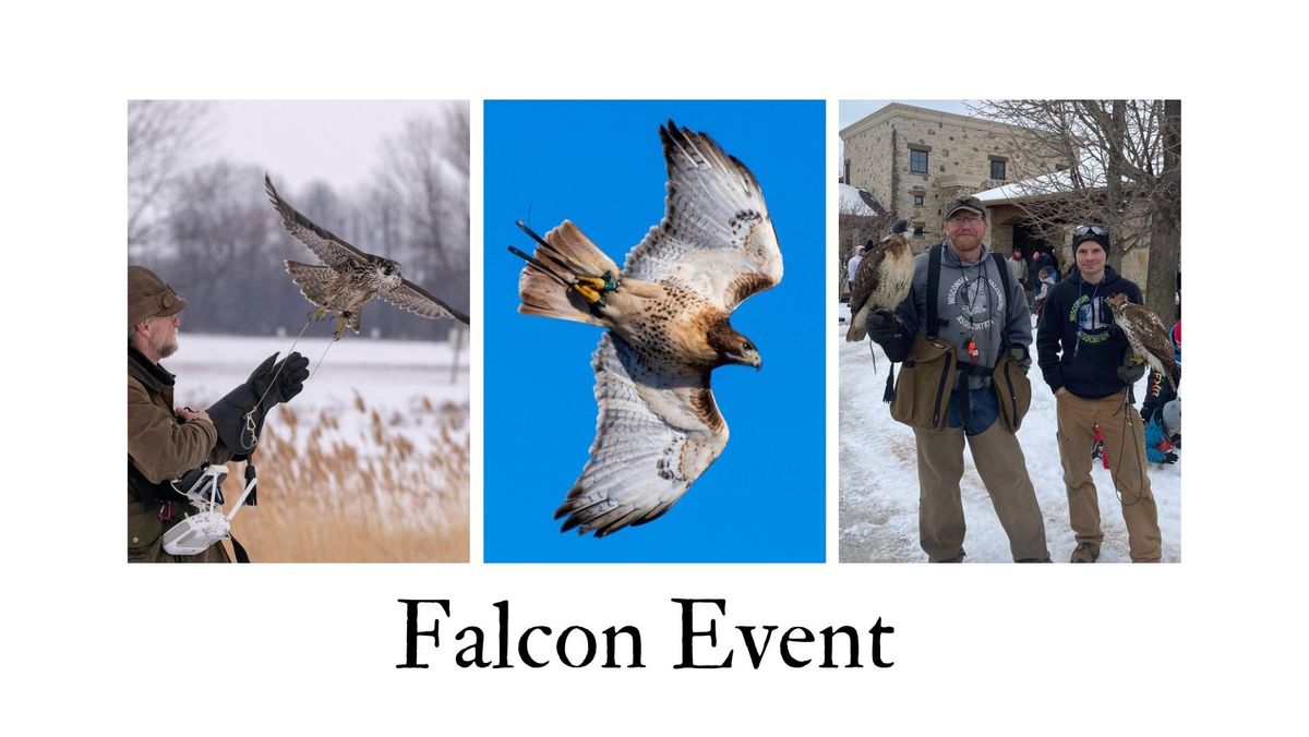 Falconry Event 