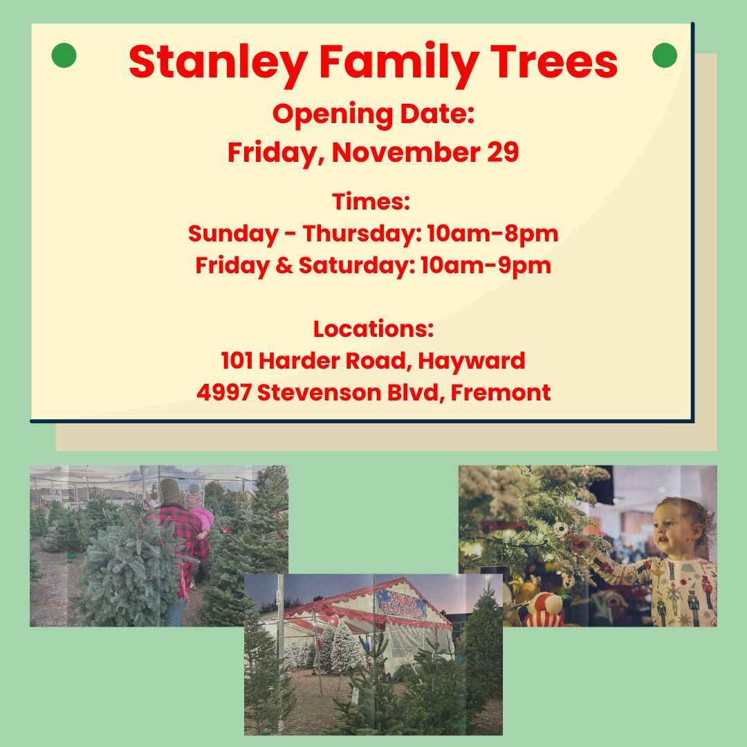 Stanley Family Trees - Opening Day!