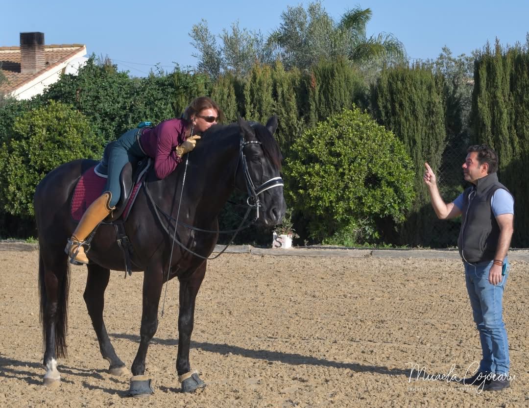 Clinique Classical Dressage with Gonzalo Diaz 