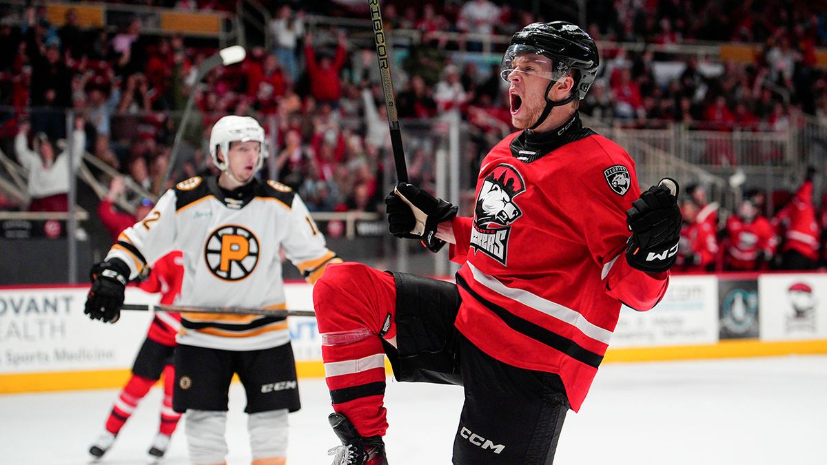 Providence Bruins vs. Charlotte Checkers