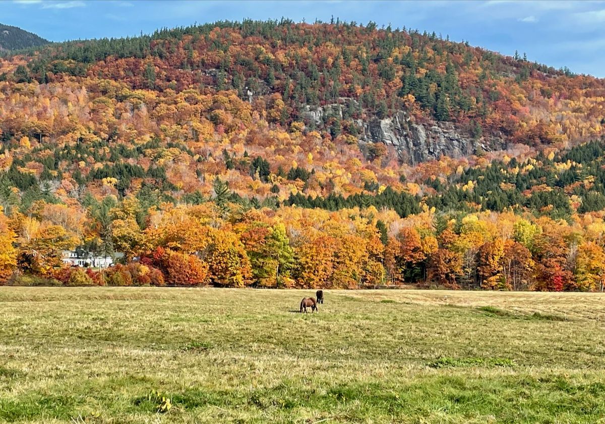 STC Annual Meeting & Fall Trails Day