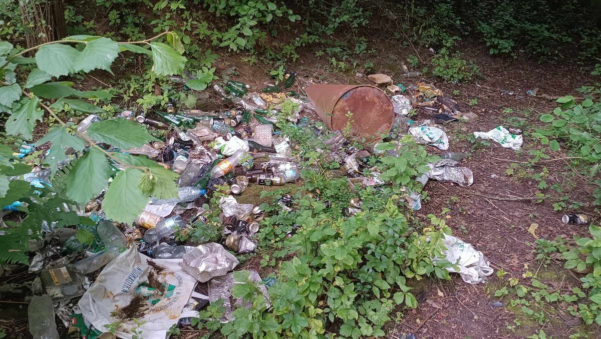 World Cleanup Day 2024 Lublin G\u00f3rki Czechowskie