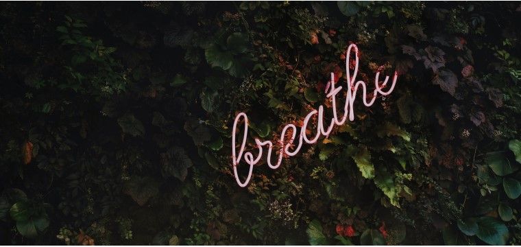 Breath Work for Better Health