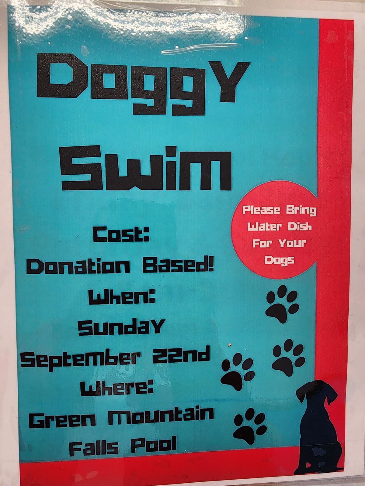 Doggy Swim Day