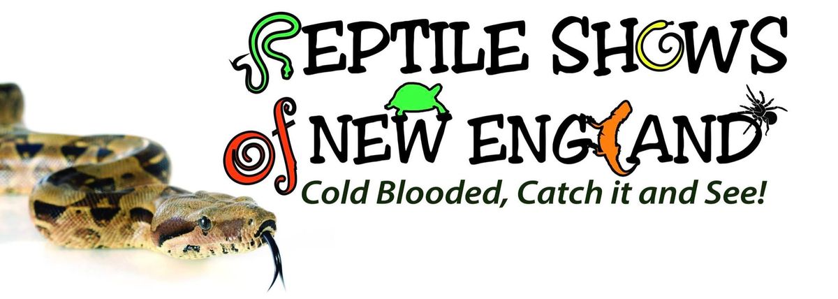 Winter Fest Reptile Show