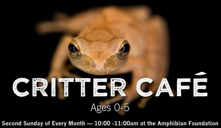 Critter Caf\u00e9 - Ages 0-5 