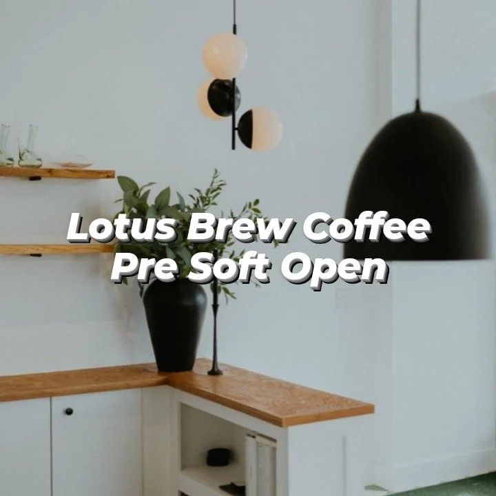Lotus Brew Pre Soft Open 