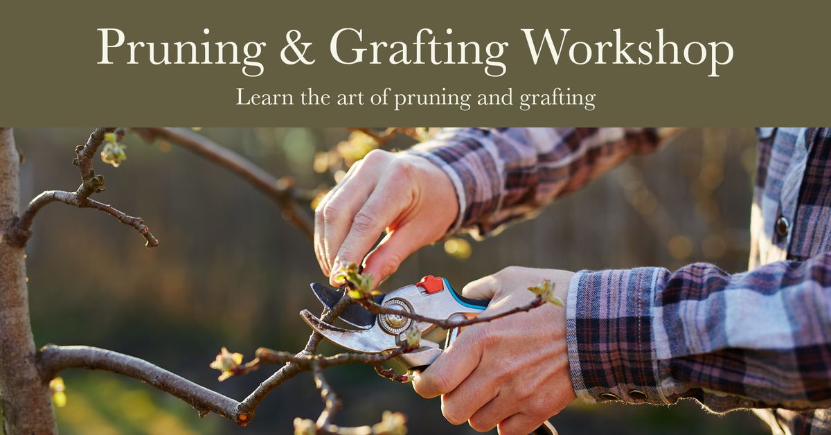 Pruning and Grafting Workshop 