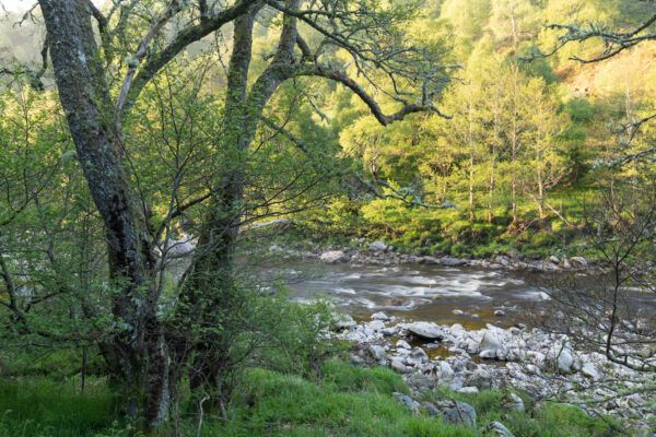 Guided Walk along the River Findhorn