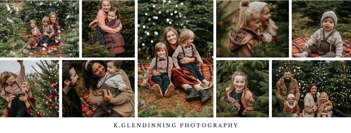 Christmas tree farm mini sessions