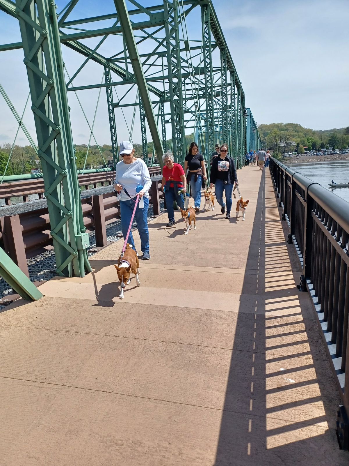 Mid Atlantic Basenji Club of Maryland annual spring hike