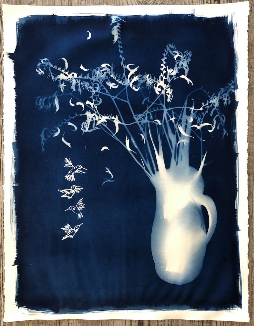 Celebrate Summer with Cyanotypes!