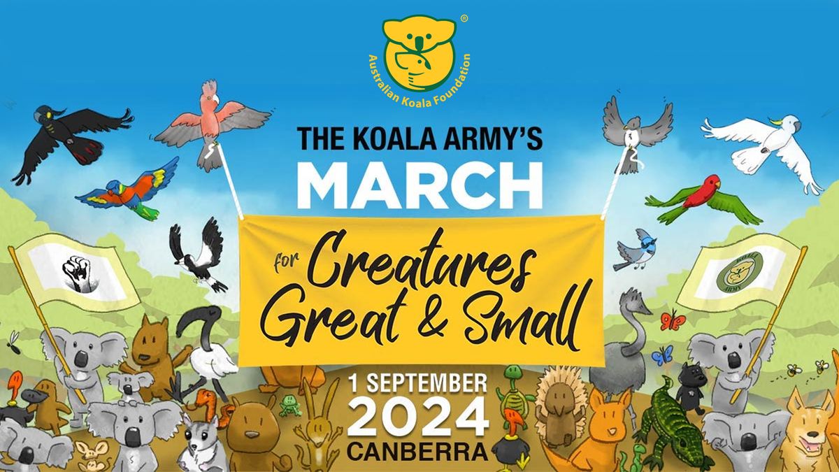 Koala Army\u2019s March for Creatures Great and Small