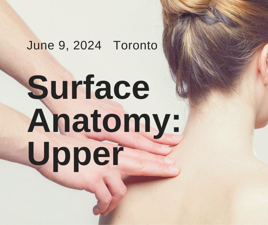 June 2024 - Surface Anatomy: Upper (Toronto)