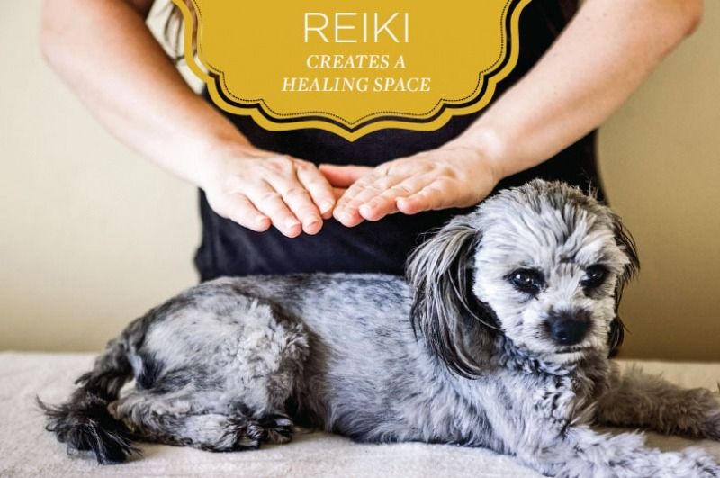 Reiki for Fur Babies with Joan Pape, Wellness by Intention