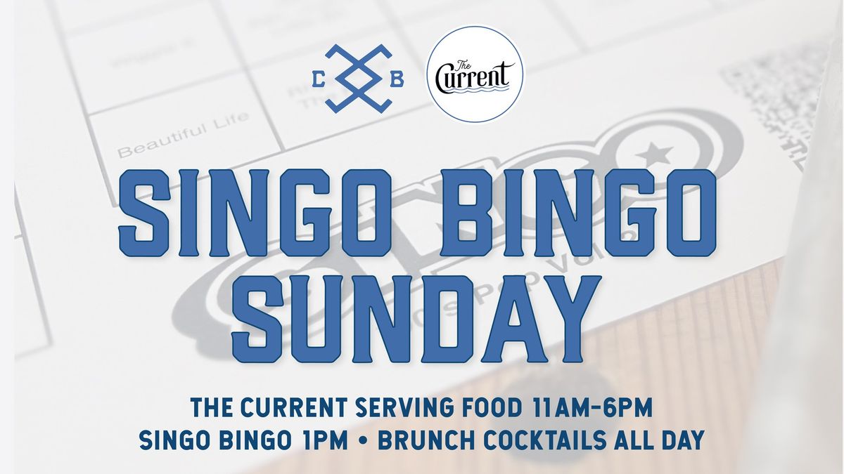 Singo Bingo Sunday