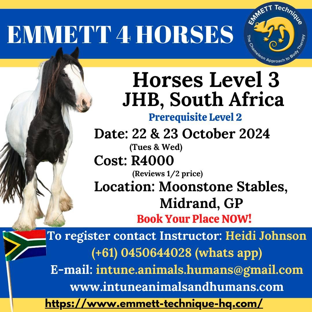 EMMETT 4 Horses - Level 3 - Midrand, GP, South Africa - 22 & 23 October 2024