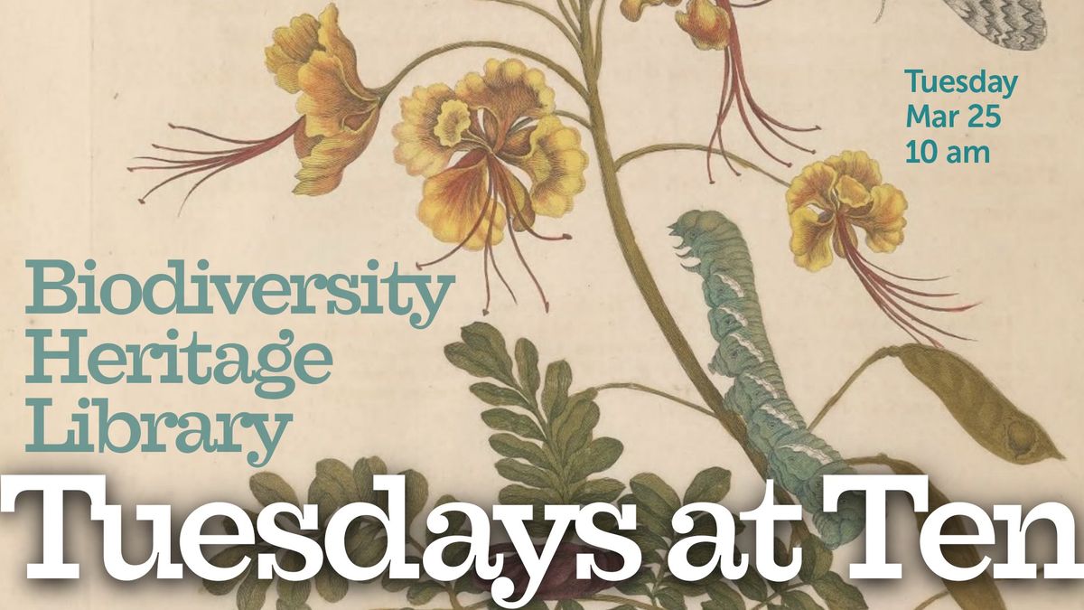 Tuesdays at Ten | Biodiversity Heritage Library