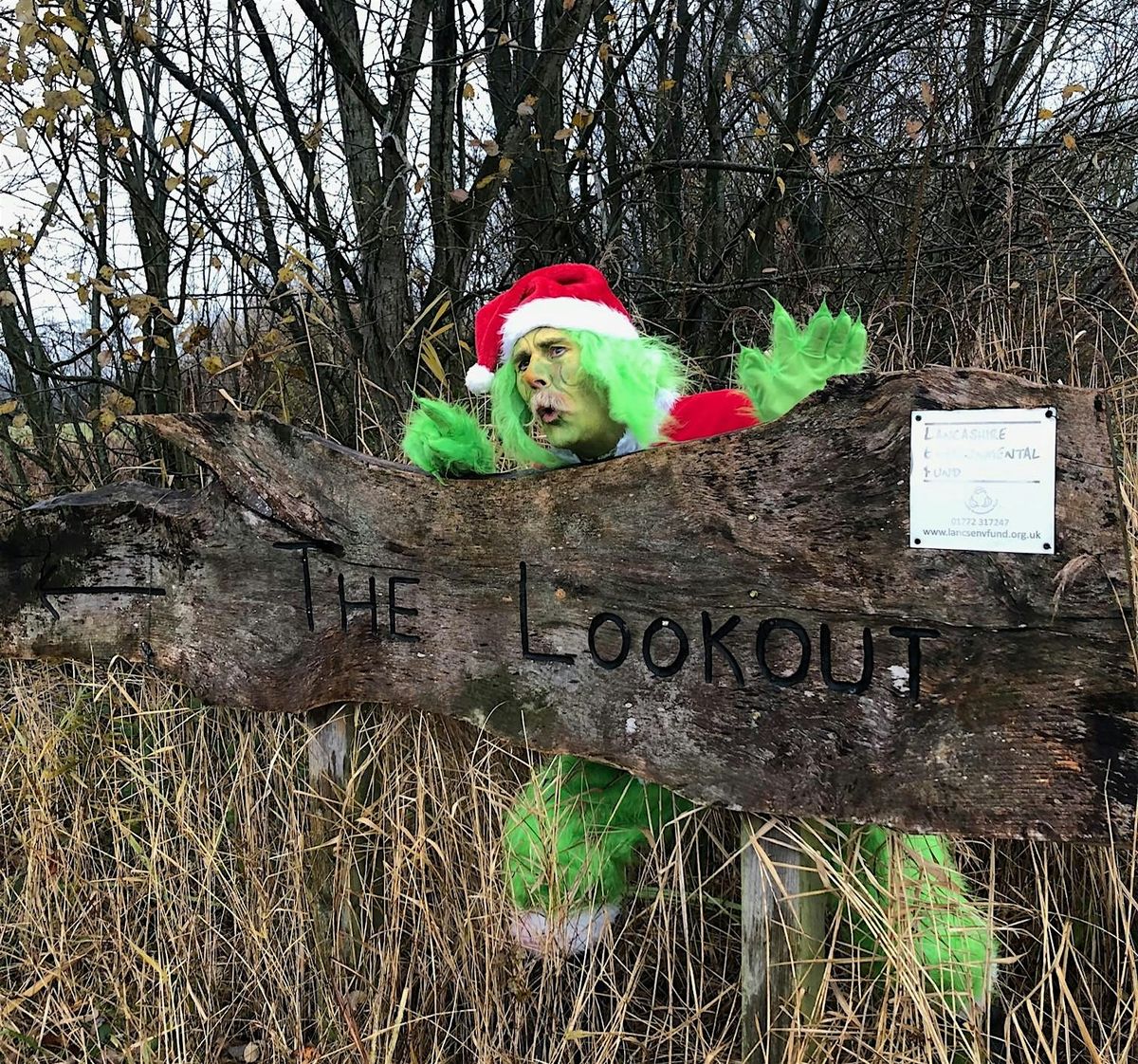 Mischievous Tree-Troll\u2019s Grotto Takeover & Nature Trail