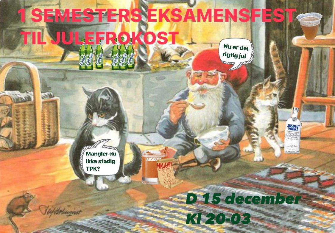 1 SEMESTERS EKSAMENSFEST TIL JULEFROKOST