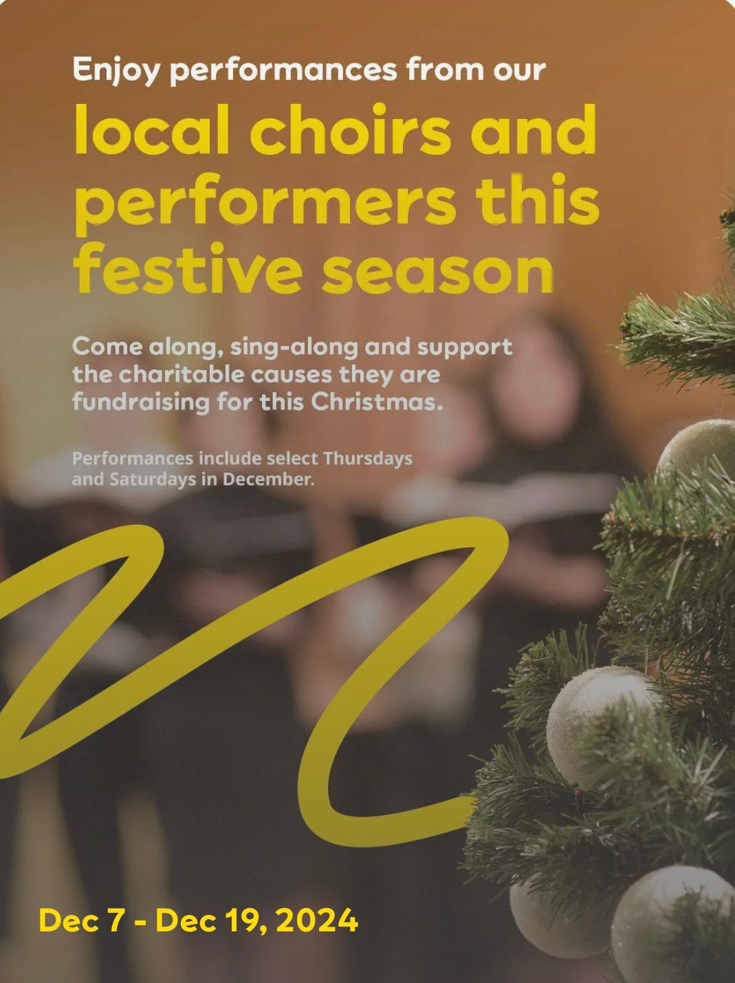 Enjoy performances from our local Choirs and Performers this Festive Season.