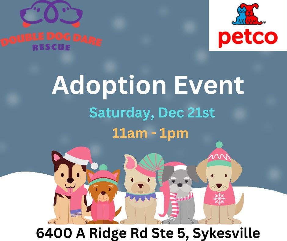 Adoption Event