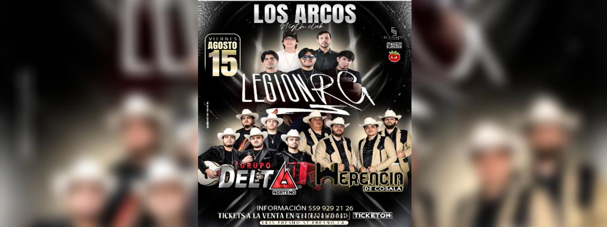 LEGION RG, GRUPO DELTA NORTE\u00d1O Y MAS