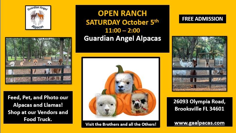 October Open Ranch