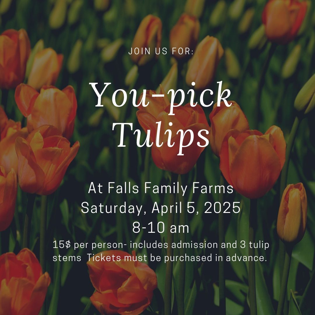 You-pick tulips!