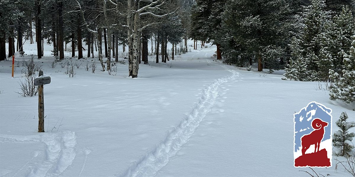 Winter Hike: Deer Mountain