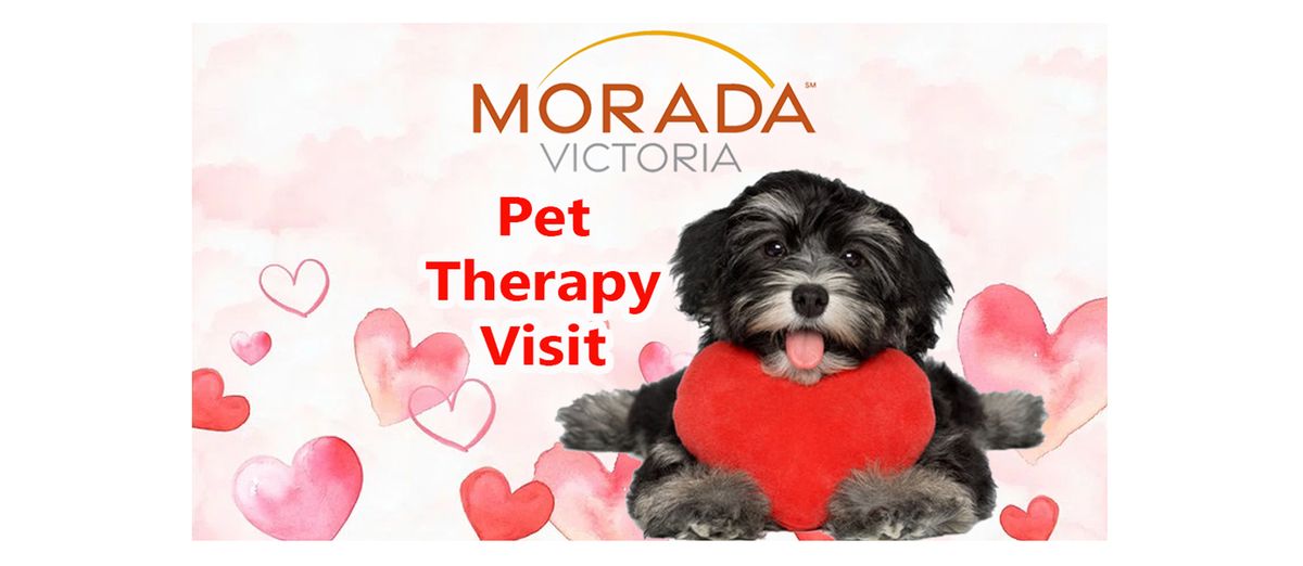 Pet Therapy Visit at Morada Victoria