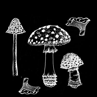 Right to Roam Norwich