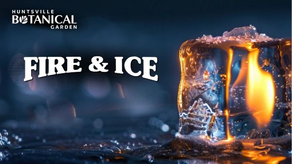 Fire & Ice