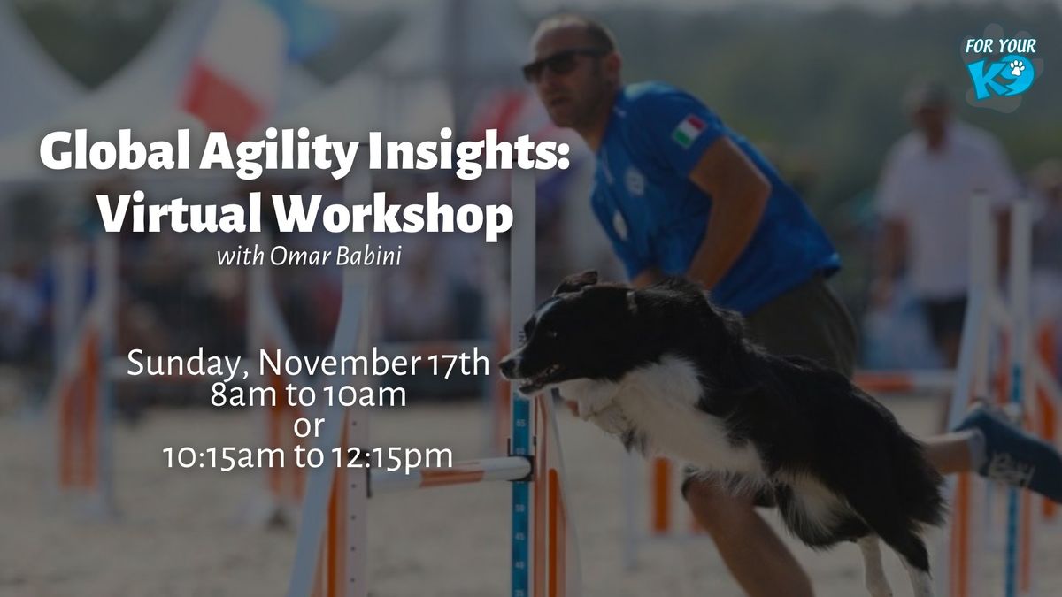 Global Agility Insights: Virtual Workshop with Omar Babini