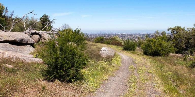 Try Bushwalking Month - Kanga\u2019s and Ruins of Woodlands Park \/ Gellibrand Hill - Grade 3 (Medium)