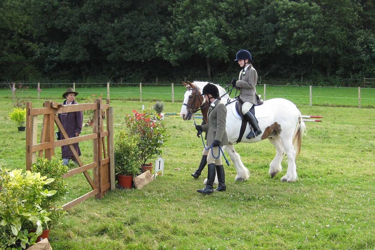 Pony Care afternoon