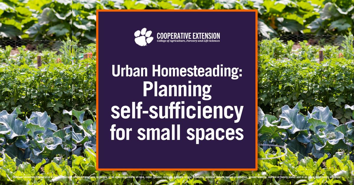 Urban Homesteading: Planning self-sufficiency for small spaces