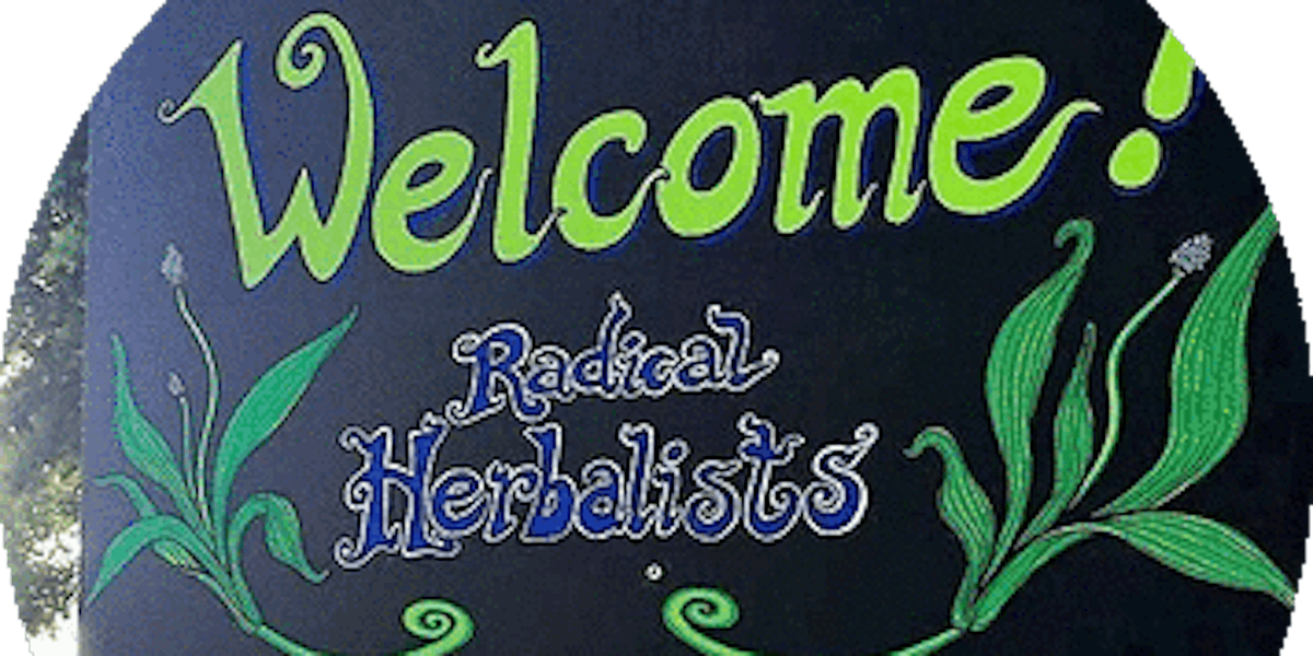 Radical Herbal Histories and Futures: a 3 week participatory programme