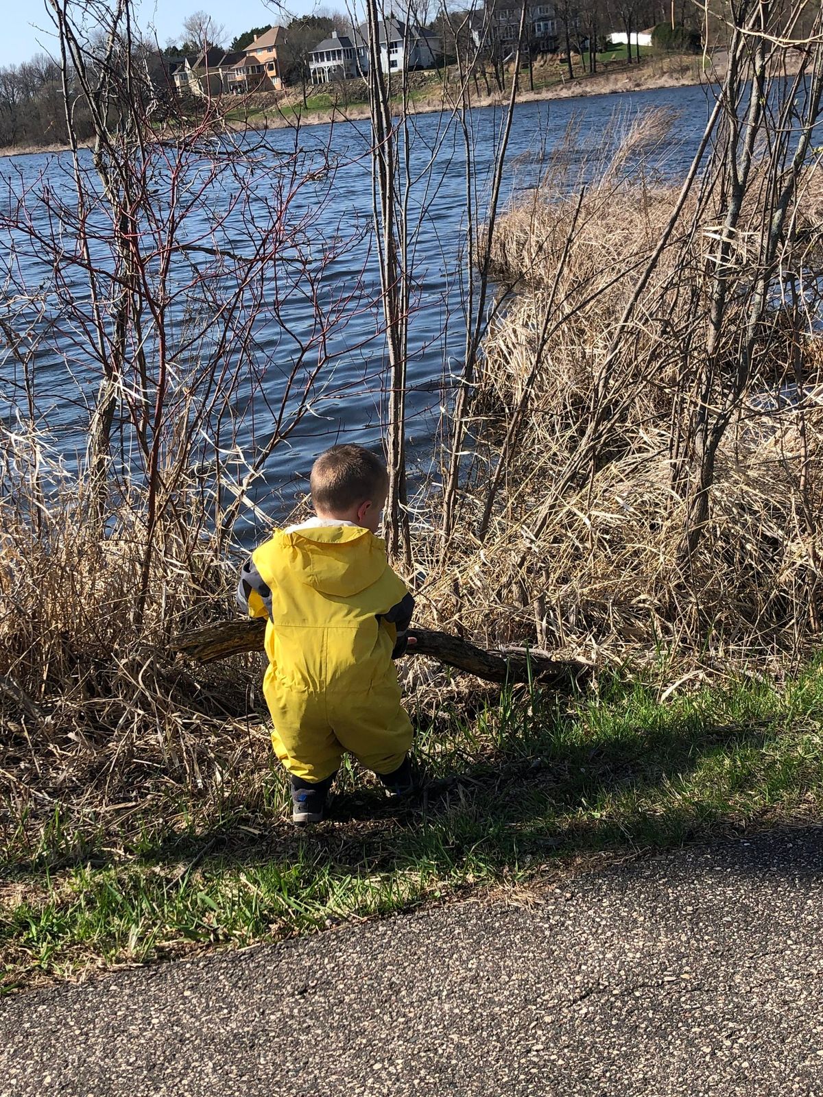 Natural Wonders: Nature Play