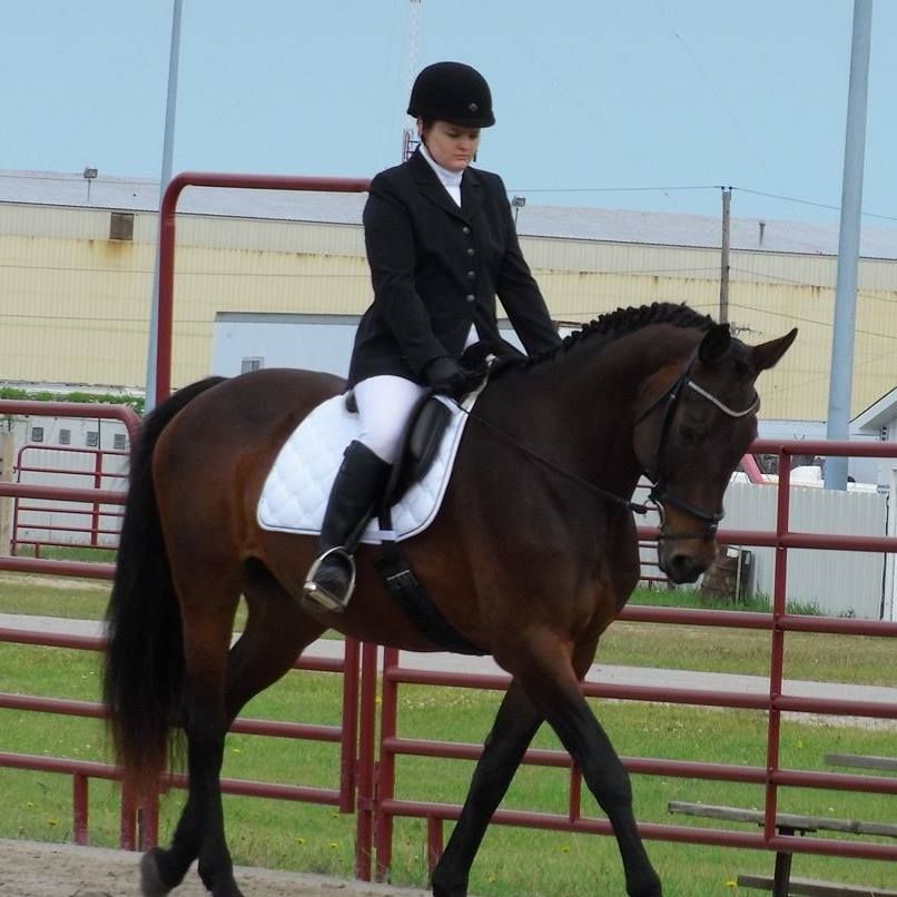 UP Cadence Schooling Show