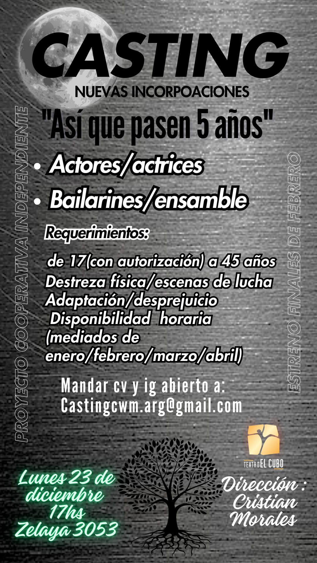 casting "As\u00ed que pasen 5 a\u00f1os"