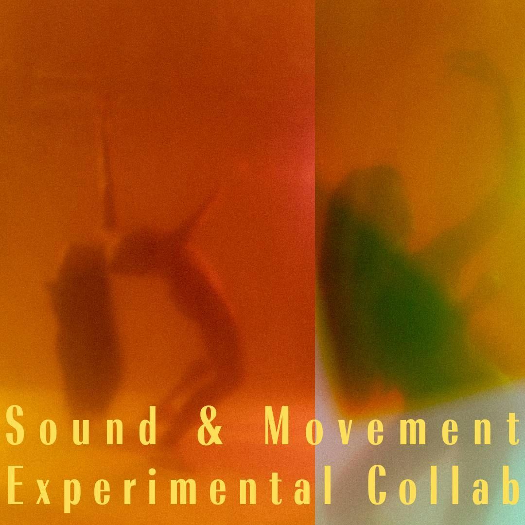 Experimental Sound and Movement Collaboration