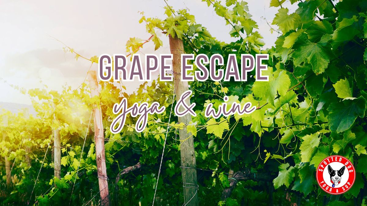 Grape Escape: Yoga & Wine at Cielo Estate
