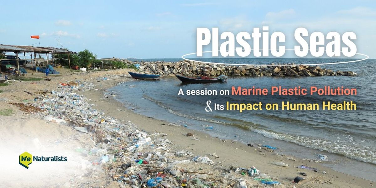 Plastic Seas