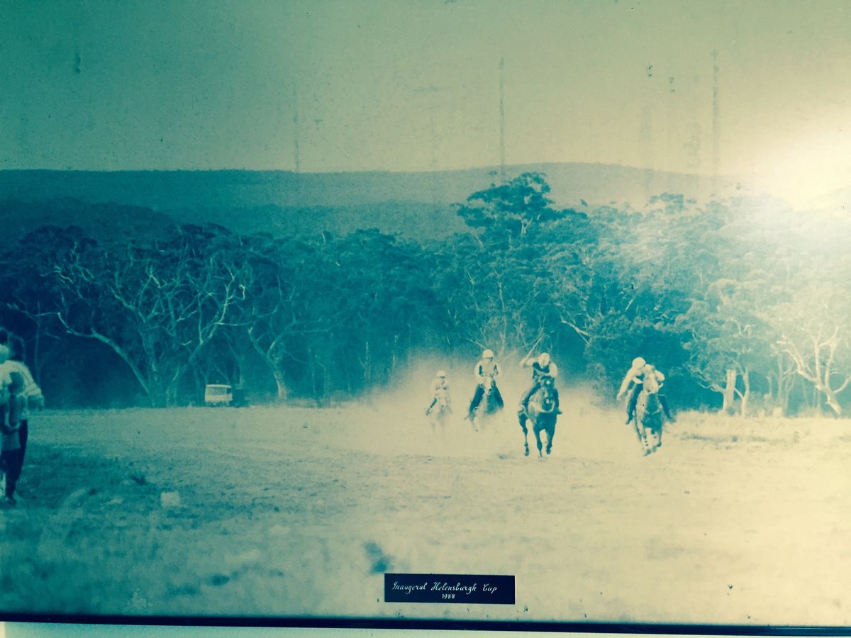 Helensburgh cup horse race 