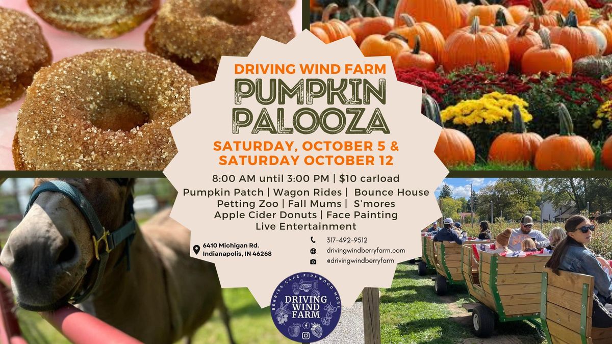 Pumpkin Palooza